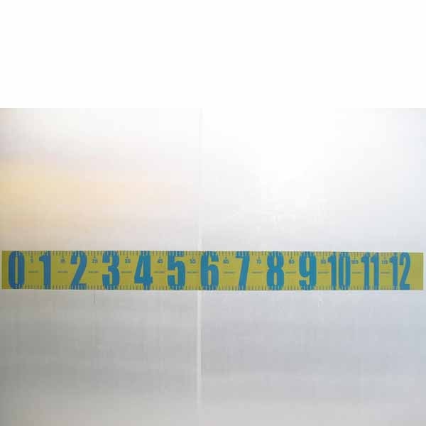 Custom Fish Ruler Decal - Item #CCFR36D -  Custom Printed  Promotional Products
